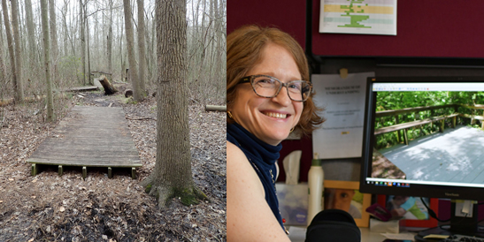 Cyprus Park Nature Trail deteriorated over many years. Cheryl Ladota shows a section of the new trail rebuilt with help from MDOT SHA.